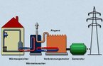 Combined heat and power generation