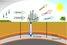 Principles behind carbon capturing and storage