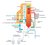 More efficiency through hotter steam and heat recovery