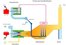 The exhaust gas generates steam